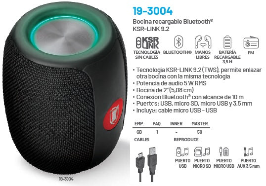 19-3004